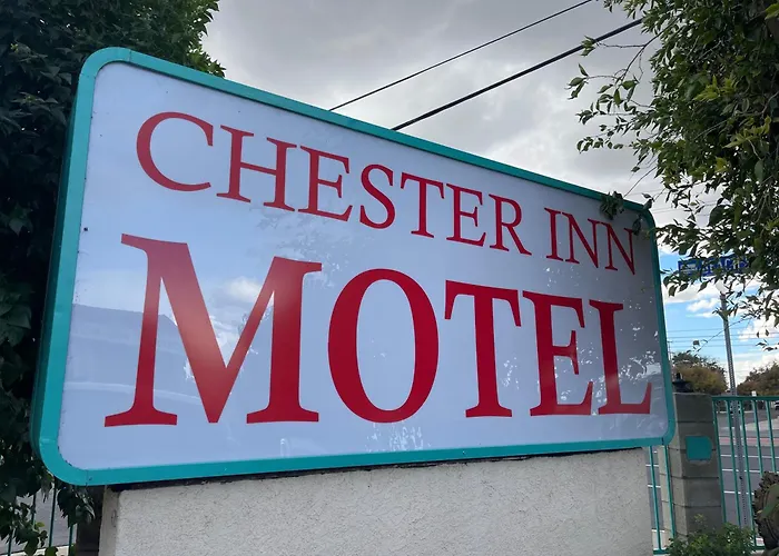 Chester Inn Motel