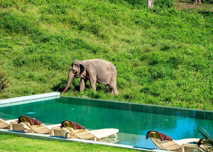 Wild Cottages Elephant Sanctuary Resort