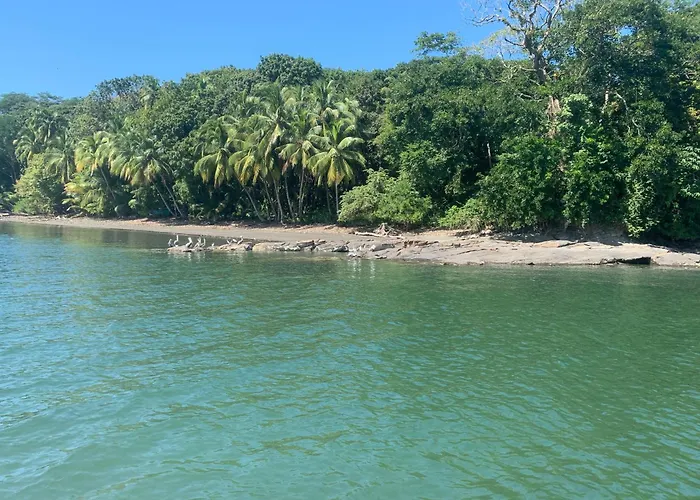 Ocekepala