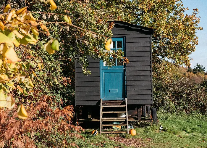 Beautiful, Secluded Shepherd'S Hut In The National Park