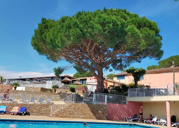 Le Tropezen Confort Plus Tv Wifi Vod Piscine Chaufee