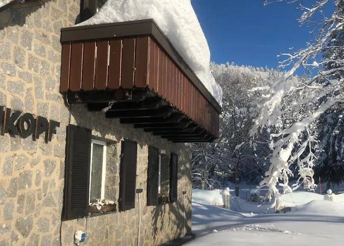 Waldhotel Auerhahn Hochkopfhaus