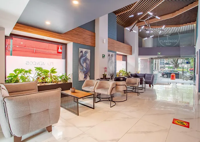 Hotel Flamencos Centro Histórico