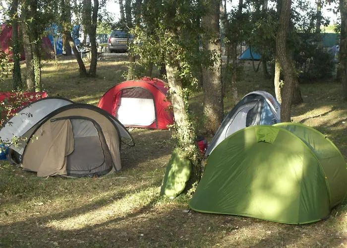 Villaggio Camping Bosco Selva