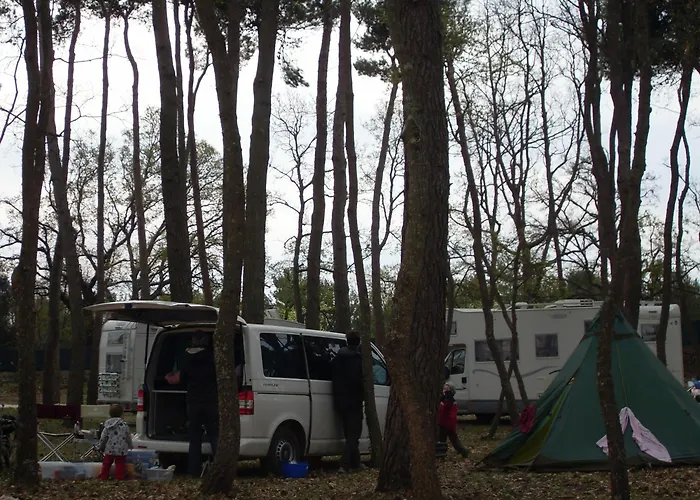 Villaggio Camping Bosco Selva