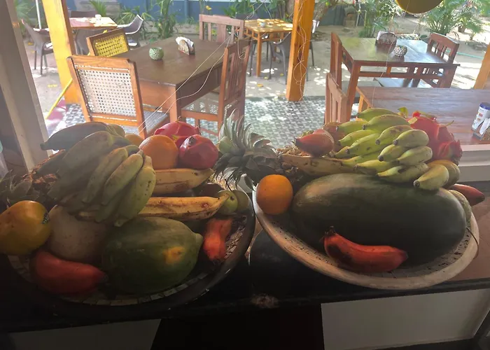 Alleppey Beach Garden