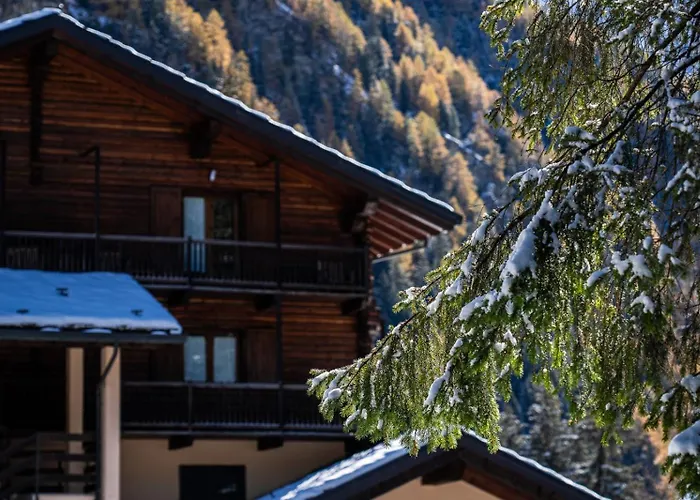 Alpine Forest Hotel & Restaurant