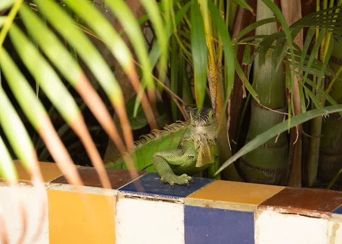Casa Mazunte Tierra Viva