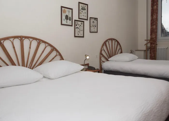 Cit'Hotel Aero-Hotel