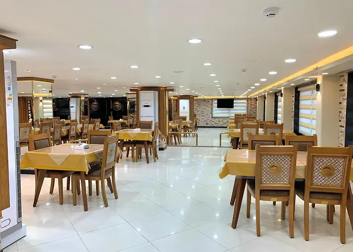 Dolphin Ras El-Bar Hotel