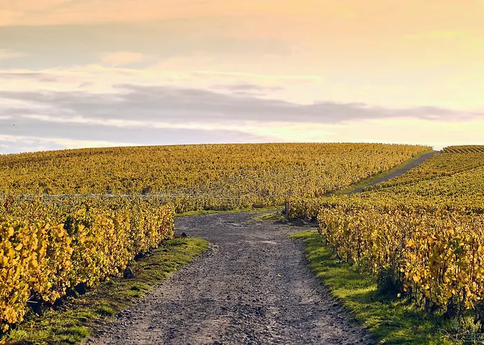 Best Western Le Relais Du Vigneron