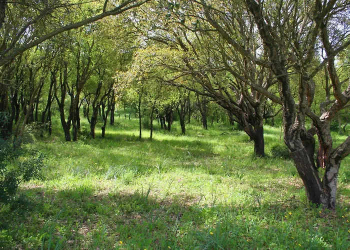 Sa Rocca Sport E Resort