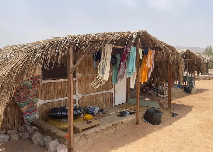 Alwaha Camp