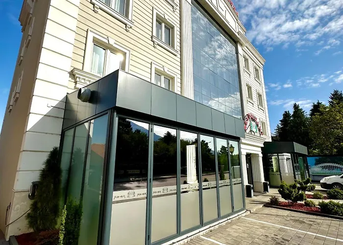 Hotel Borea