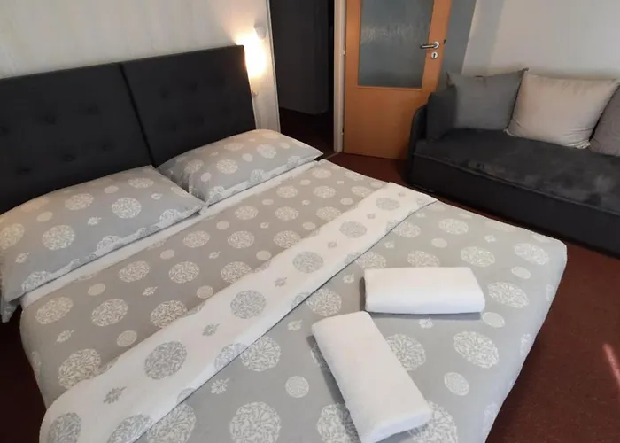Hotel Borsicanka