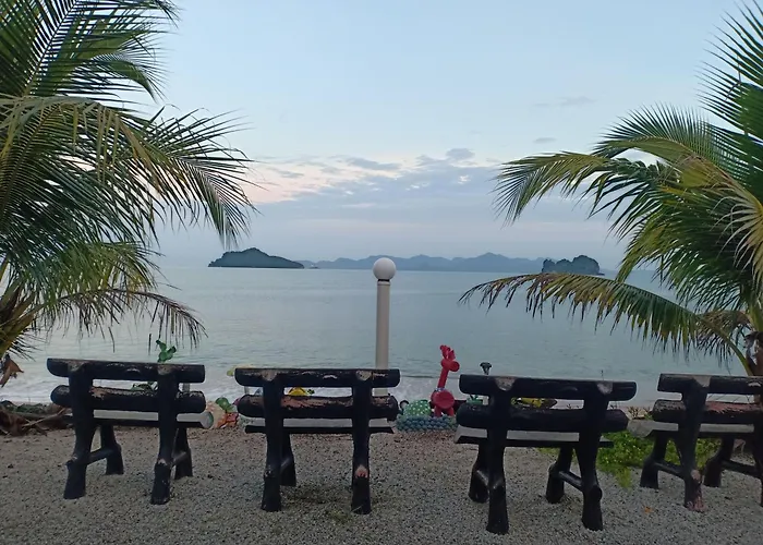 Langkawi Primrose