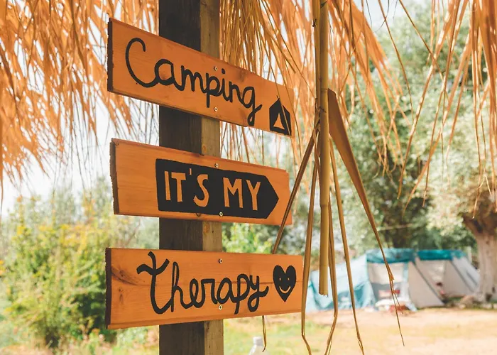 Unique Stay At Olive Camping