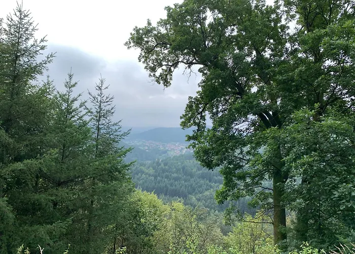 Camping De La Sarre