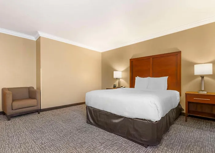 Comfort Inn & Suites Redwood Country