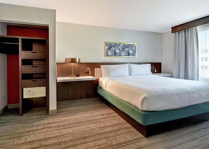 Hilton Garden Inn Houston/Galleria Area