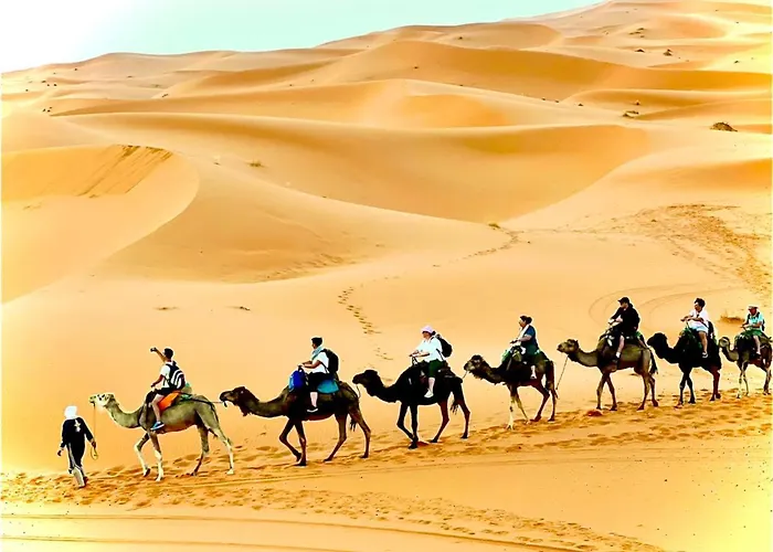 Desert Berber Fire-Camp