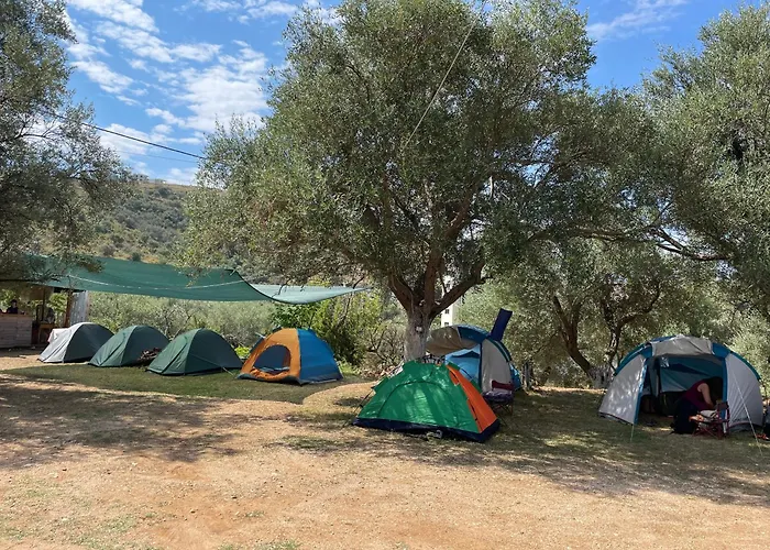 Unique Stay At Olive Camping