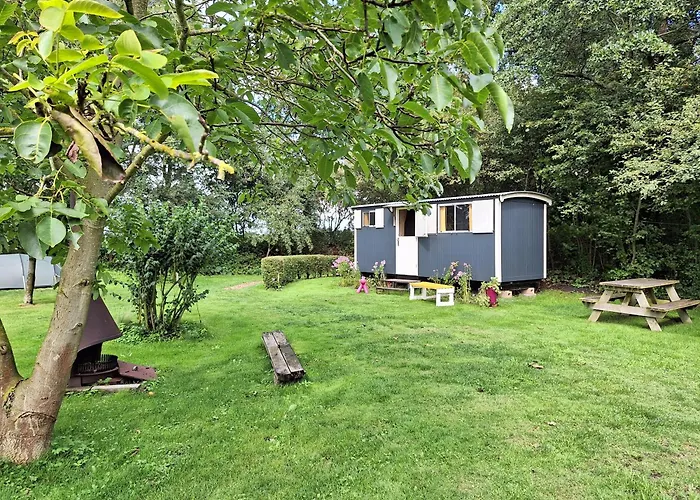 Pipowagen Op Natuurcamping