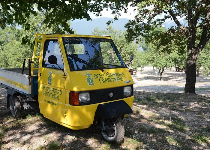 Tenuta Il Guerriero
