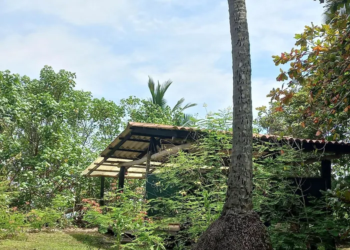 Las Lajas Beach Resort