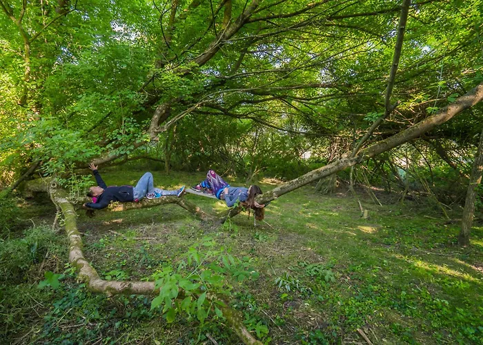 Szellos Ret Camping