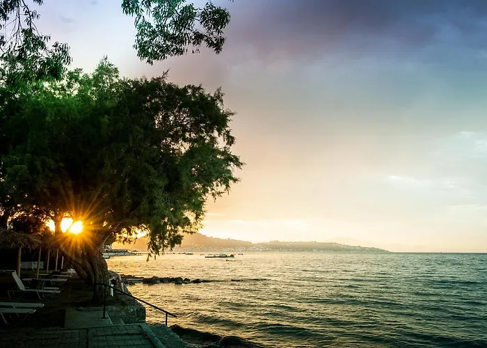 Mimoza Beach