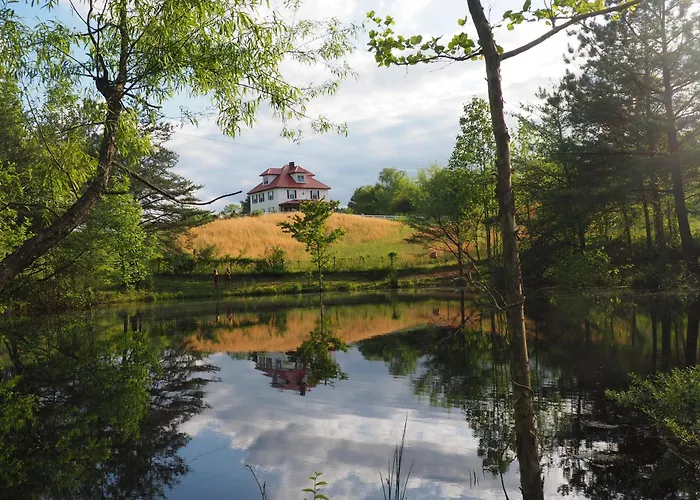 Firefly Hills