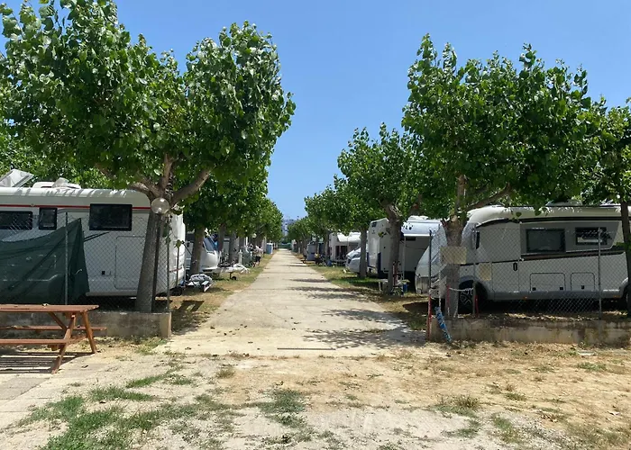 Camping Adriatico