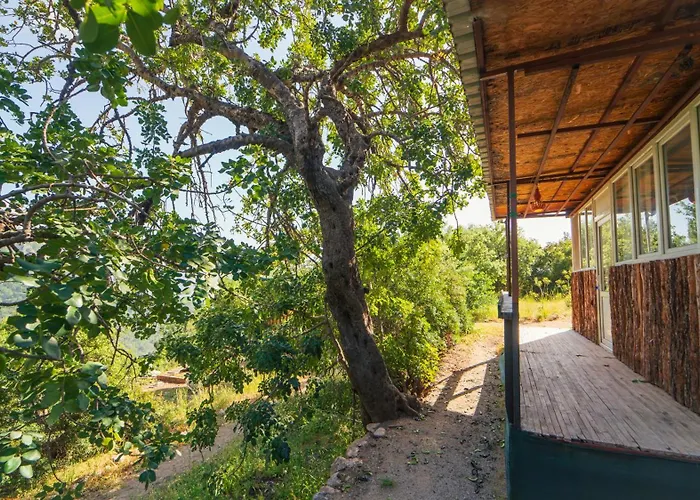 Shiva Camp