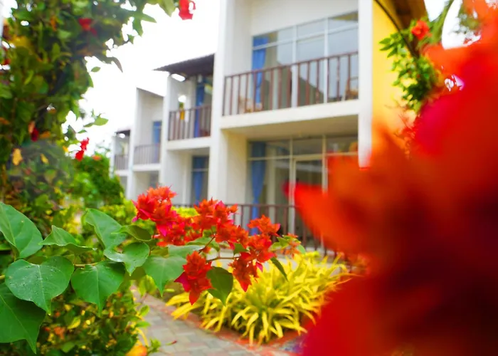 Hotel Canoa'S Wonderland