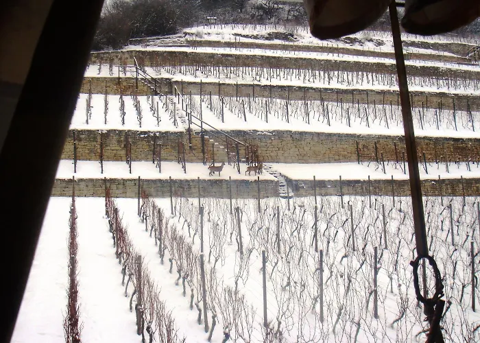 Landhotel Weingut Schulze