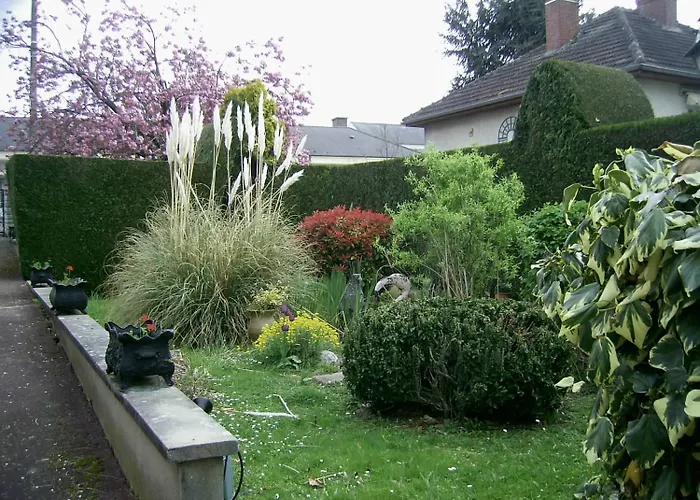 Belvedere Montargis Amilly