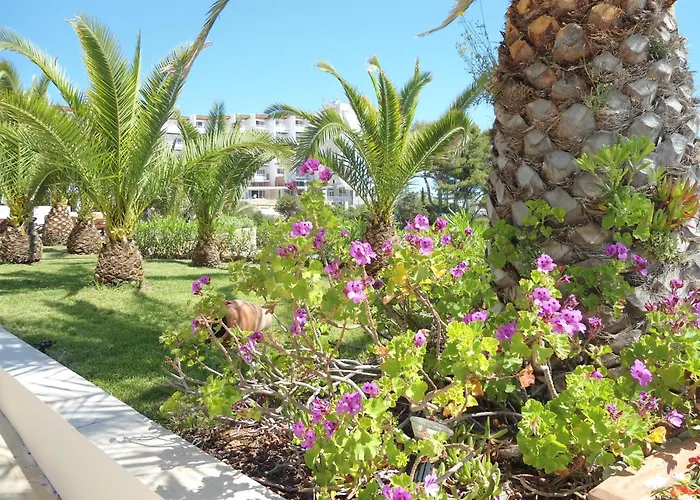 Grand Hotel Palladium Santa Eulalia Del Rio