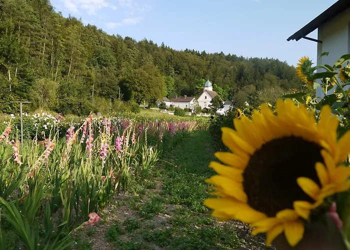 Hotel & Gasthof Zur Linde