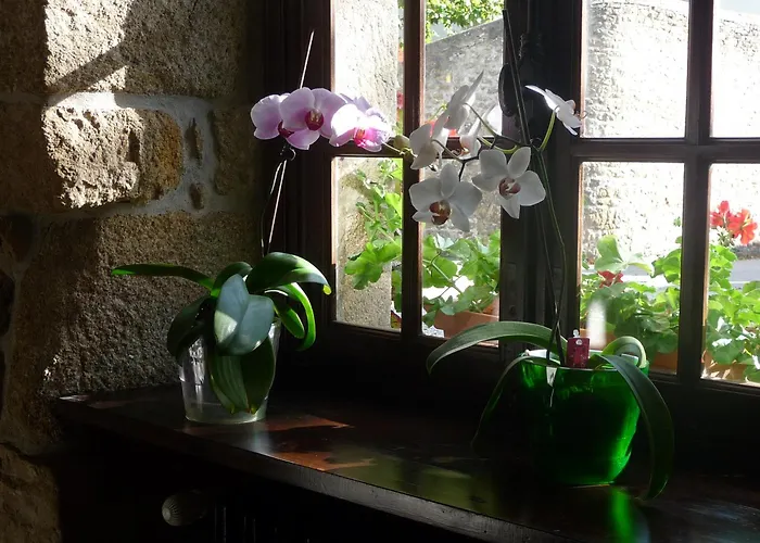 Logis Hotel Et Restaurant Auberge Le Ratelier