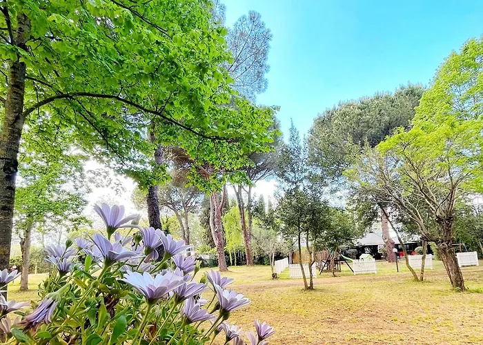 Camping Amalasunta
