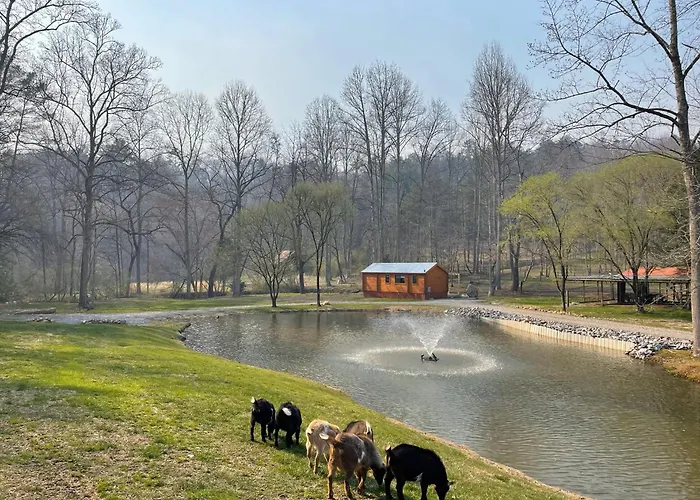 Cobb Creek Cabins