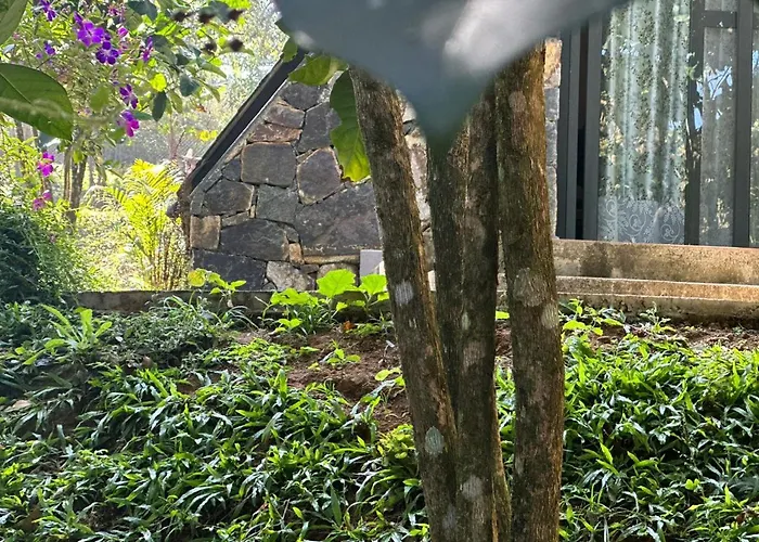 Koodaram Blissful Tenting