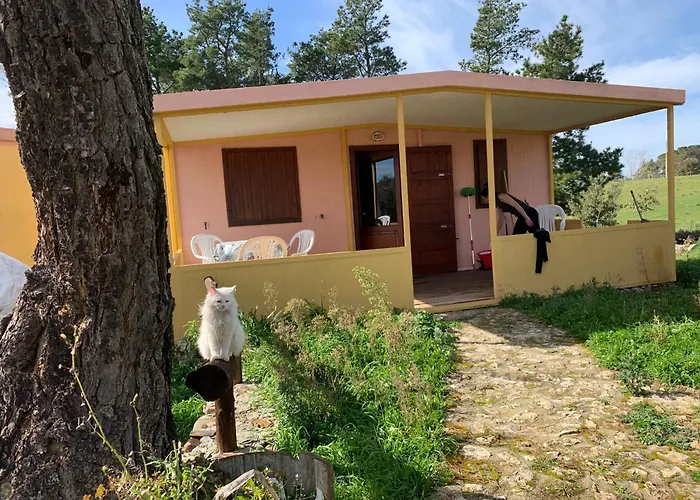 B&B Helga'S Agricampeggio