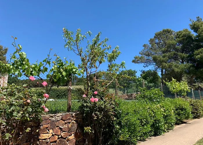 B&B Helga'S Agricampeggio