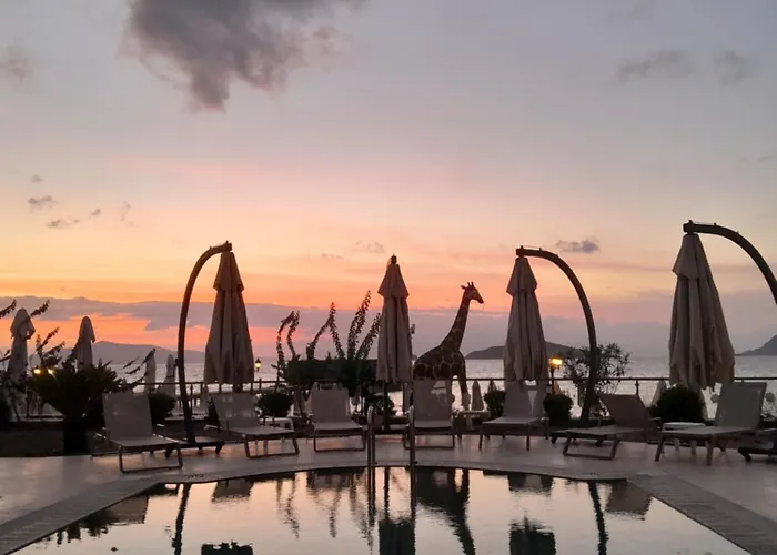 Small Beach Hotel
