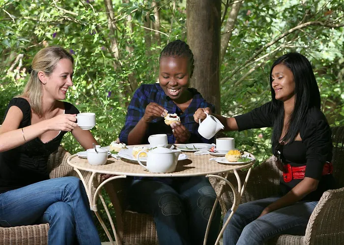 Hogsback Arminel Self Catering Cottages