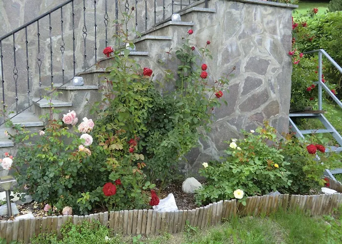 Pension Alpenblick B&B