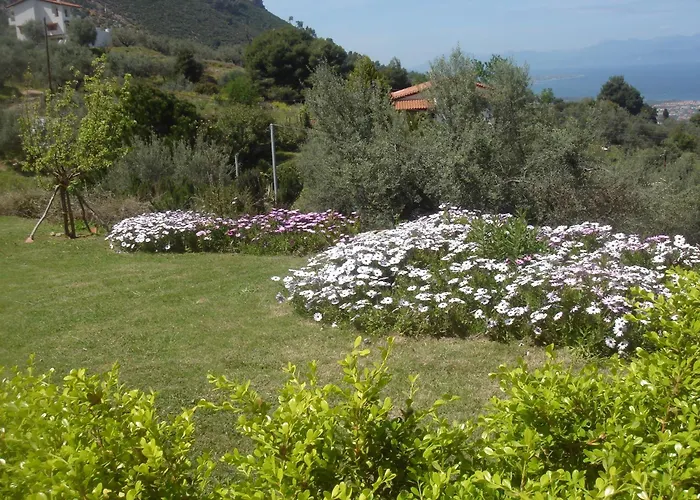 Hotel Theasi