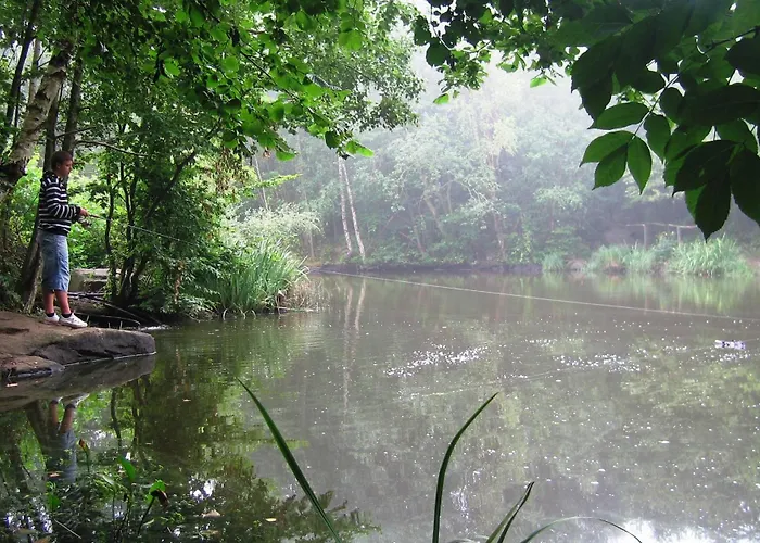 Lyngholt Familiecamping